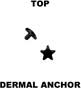 Top for dermal anchor 16113