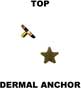 Top for dermal anchor 18043