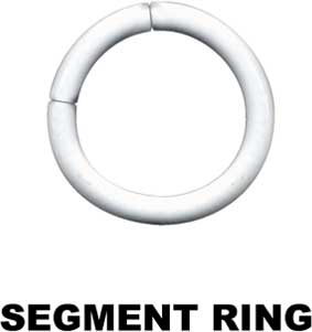 Segment Ring-15005