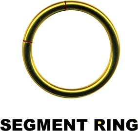 Segment Ring-18005