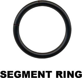 Segment Ring-16005