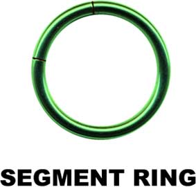 Segment Ring-17005