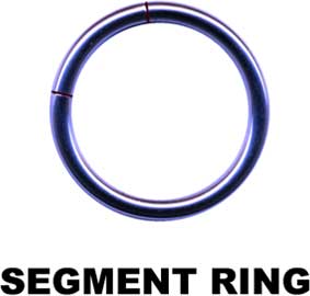 Segment Ring-19005