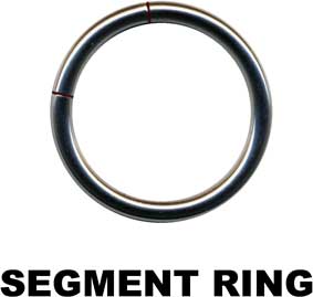 Segment Ring-14017