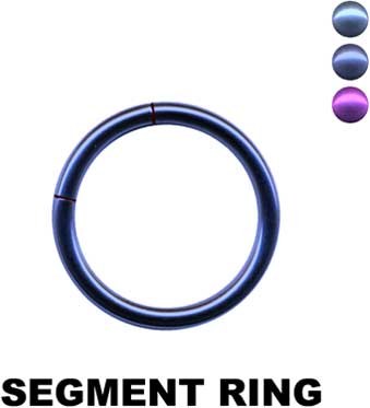 Segment Ring-24035